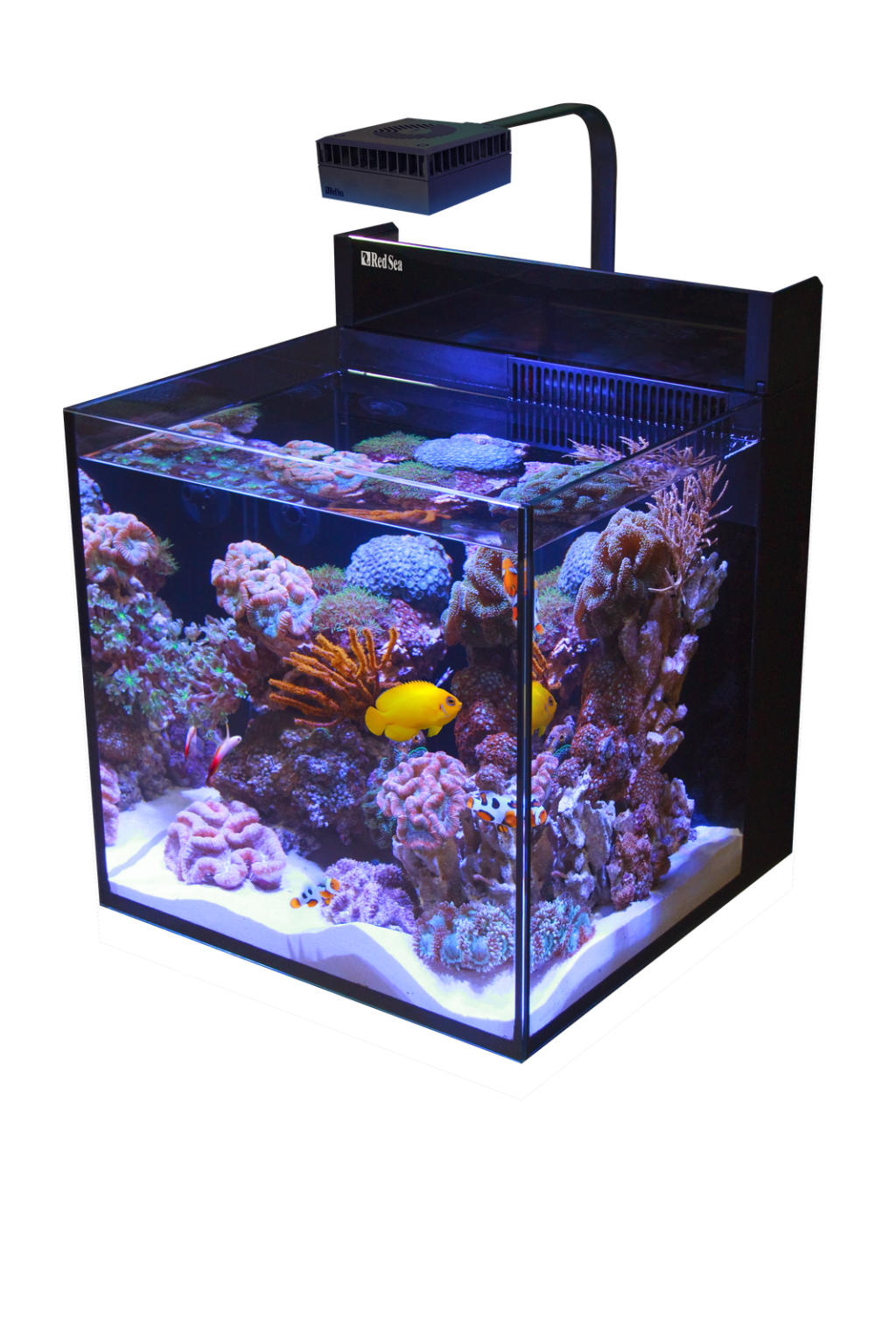 Complete aquarium