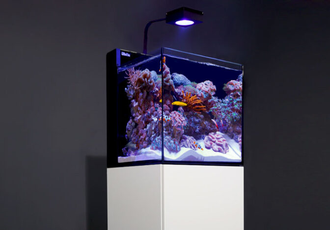 Red Sea MAX NANO Complete Reef System salt water fish tank aquarium marine tank imported tank sri lanka.png