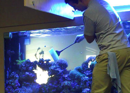 Aquarium Maintenance - A R Exotics